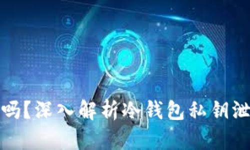 冷钱包安全吗？深入解析冷钱包私钥泄漏的可能性