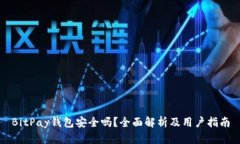 BitPay钱包安全吗？全面解析及用户指南