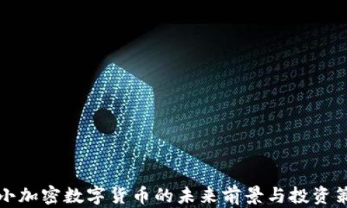 
中小加密数字货币的未来前景与投资策略