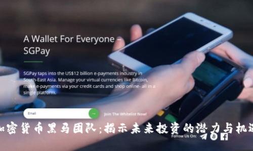 加密货币黑马团队：揭示未来投资的潜力与机遇