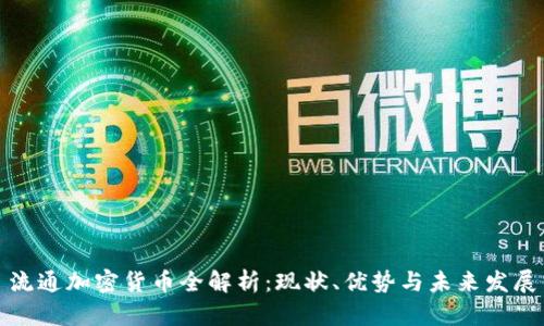 流通加密货币全解析：现状、优势与未来发展