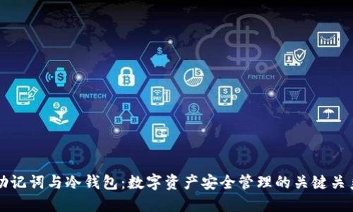 助记词与冷钱包：数字资产安全管理的关键关系