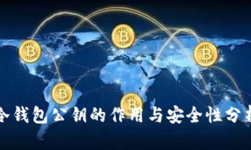 冷钱包公钥的作用与安全性分析