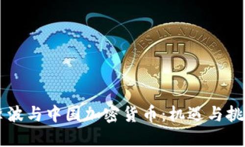 李波与中国加密货币：机遇与挑战