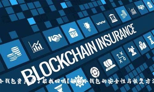 冷钱包资产丢了能找回吗？解析冷钱包的安全性与恢复方法