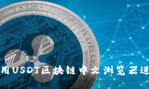 如何使用USDT区块链中文浏览器进行查询