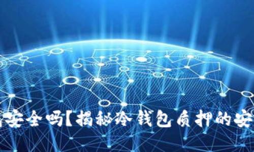 质押冷钱包安全吗？揭秘冷钱包质押的安全性与风险