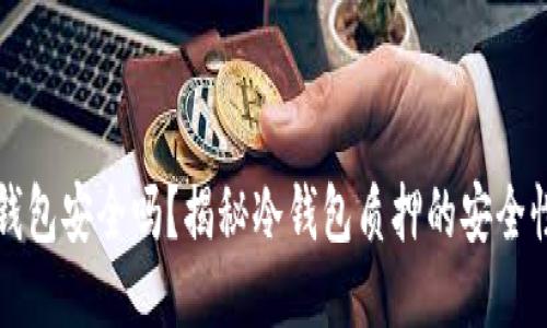 质押冷钱包安全吗？揭秘冷钱包质押的安全性与风险