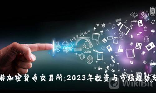 沙特加密货币交易所：2023年投资与市场趋势分析