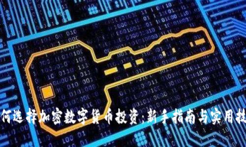 如何选择加密数字货币投资：新手指南与实用技巧