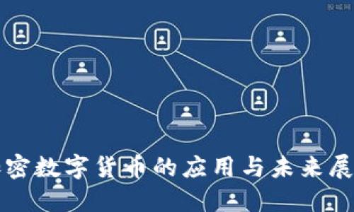 加密数字货币的应用与未来展望
