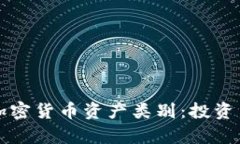 深入了解加密货币资产类别：投资与风险分析