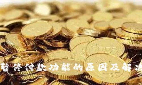 数字钱包暂停付款功能的原因及解决方案解析