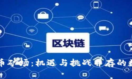 新疆加密货币矿场：机遇与挑战并存的数字经济前沿