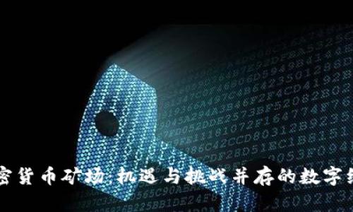 新疆加密货币矿场：机遇与挑战并存的数字经济前沿