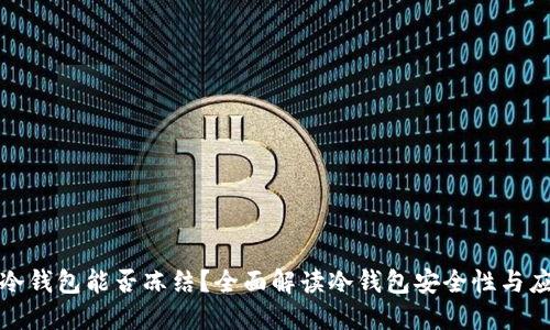 比特币冷钱包能否冻结？全面解读冷钱包安全性与应对措施