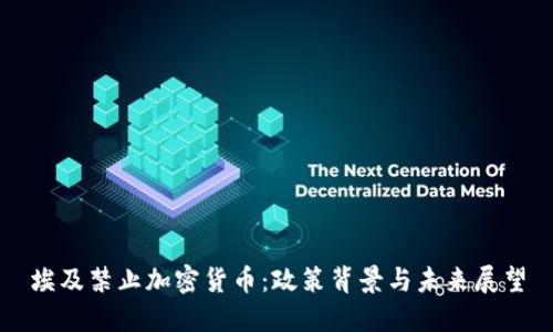 埃及禁止加密货币：政策背景与未来展望