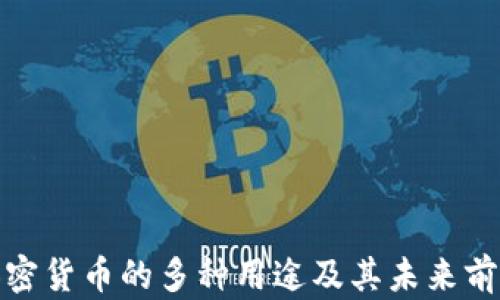 
加密货币的多种用途及其未来前景