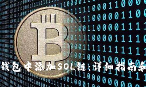 如何在小狐狸钱包中添加SOL链：详细指南和常见问题解析