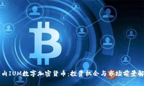 牛肉IUM数字加密货币：投资机会与市场前景解析