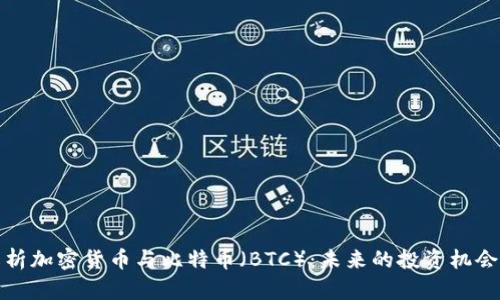 深入解析加密货币与比特币（BTC）：未来的投资机会与风险
