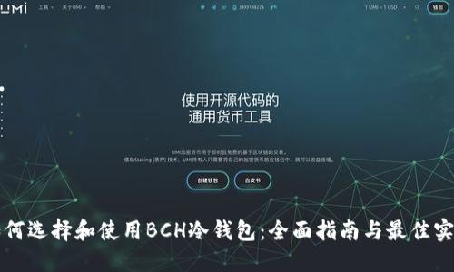 如何选择和使用BCH冷钱包：全面指南与最佳实践