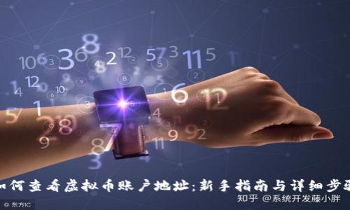 如何查看虚拟币账户地址:新手指南与详细步骤