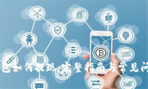 IM冷钱包如何提现：完整指南与常见问题解答