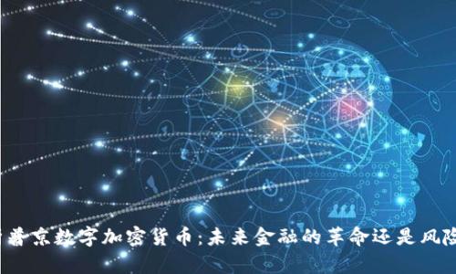 深度解析普京数字加密货币：未来金融的革命还是风险的温床？