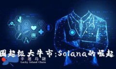 2025年币圈超级大牛市：Solana的崛起与未来展望