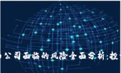 加密货币公司面临的风险全面分析：投资者需知