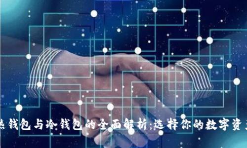 虚拟货币热钱包与冷钱包的全面解析：选择你的数字资产存储方式