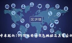 揭秘中本聪的100万比特币钱包地址及其背后的故