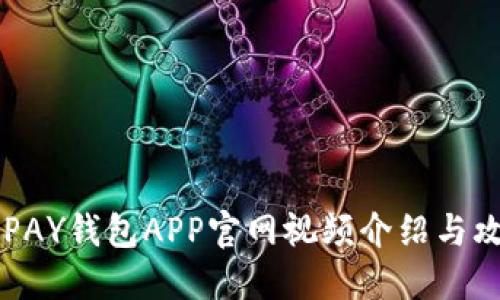 KDPAY钱包APP官网视频介绍与攻略