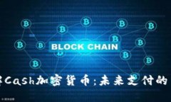 深入理解Cash加密货币：未来支付的革新之路