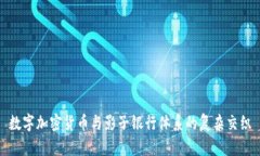 数字加密货币与影子银行体系的复杂交织