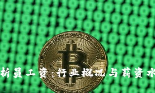 加密货币分析员工资：行业概况与薪资水平全面解析