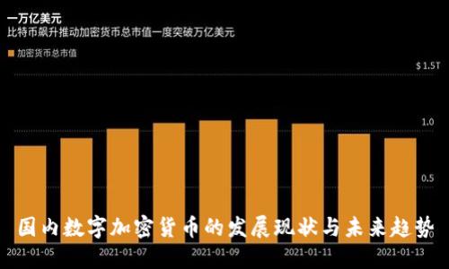 国内数字加密货币的发展现状与未来趋势