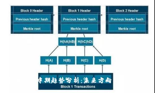 货币加密中期趋势分析：未来方向与投资机会