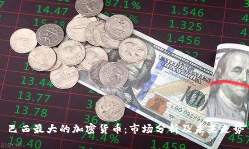 巴西最大的加密货币：市场分析及未来走势