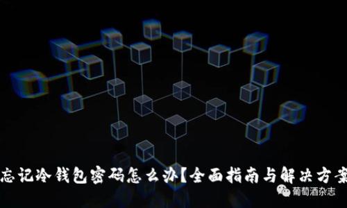 忘记冷钱包密码怎么办？全面指南与解决方案
