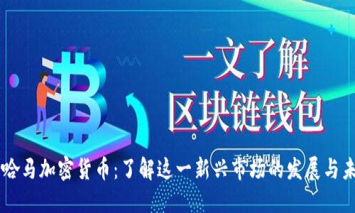 巴哈马加密货币：了解这一新兴市场的发展与未来