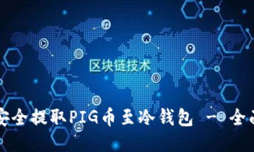 如何安全提取PIG币至冷钱包 - 全面指南