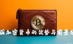 美国加密货币的优势与前景分析