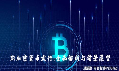 新加密货币发行：全面解析与前景展望