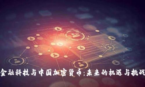 金融科技与中国加密货币：未来的机遇与挑战