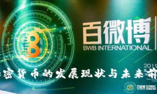 印度加密货币的发展现状与未来前景分析