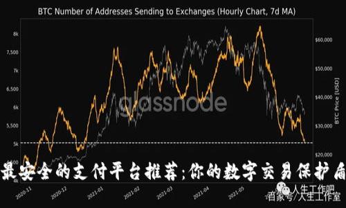 最安全的支付平台推荐：你的数字交易保护盾