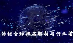 盛源链全球排名解析与行业前景