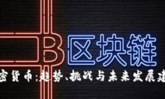 加密货币：趋势、挑战与未来发展建议